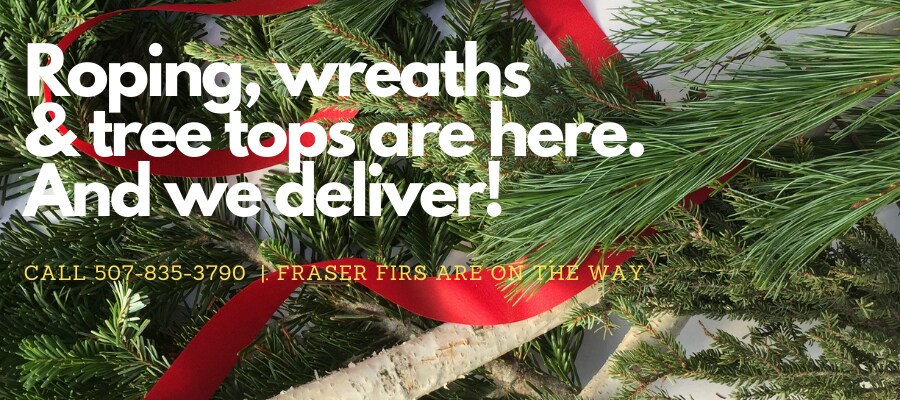 Flower Delivery to Waseca by Waseca Floral